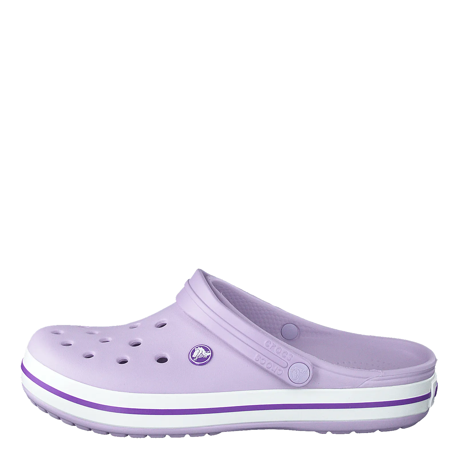 Crocs schoenen Crocband Lavender/Purple