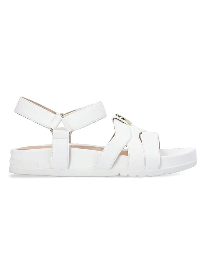 PLATEAUHAKSANDALEN WIT